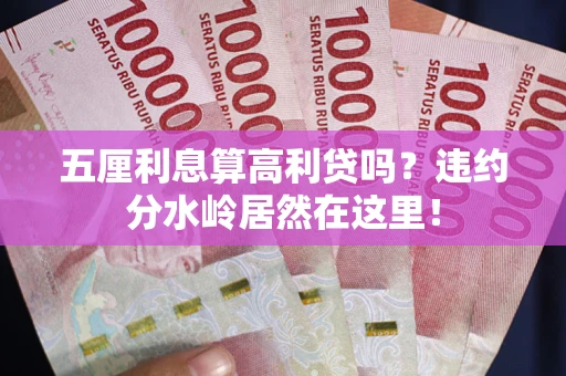 济南五厘利息算高利贷吗？违约分水岭居然在这里！